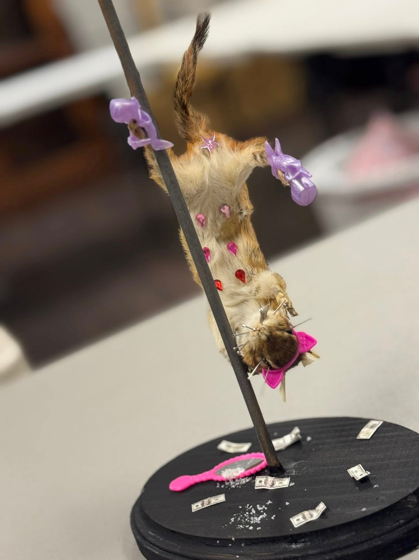 1 "Exotic Dancer" Chipmunk Taxidermy Class Ticket