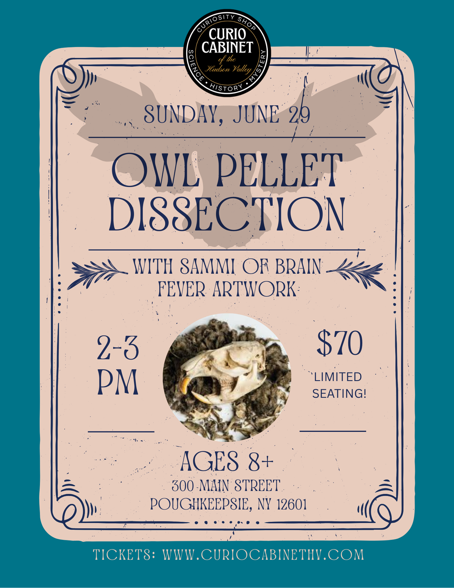 Owl Pellet Dissection Class Ticket - Sunday, June 29