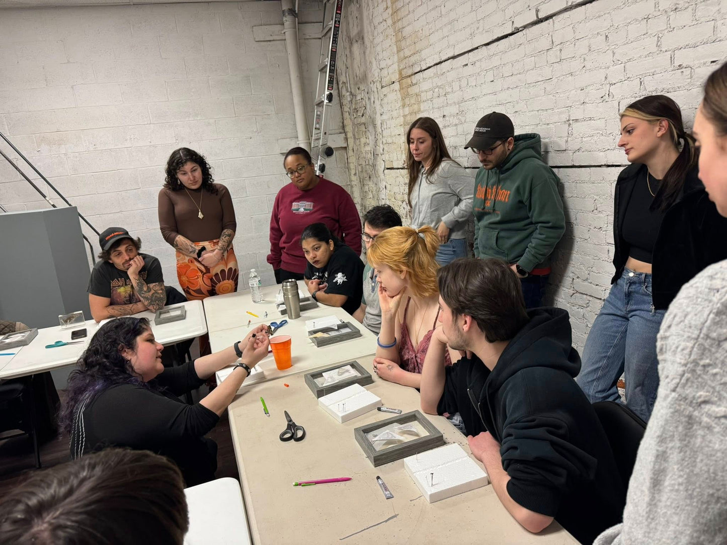 1 Ticket: Butterfly Pinning Class: February 8