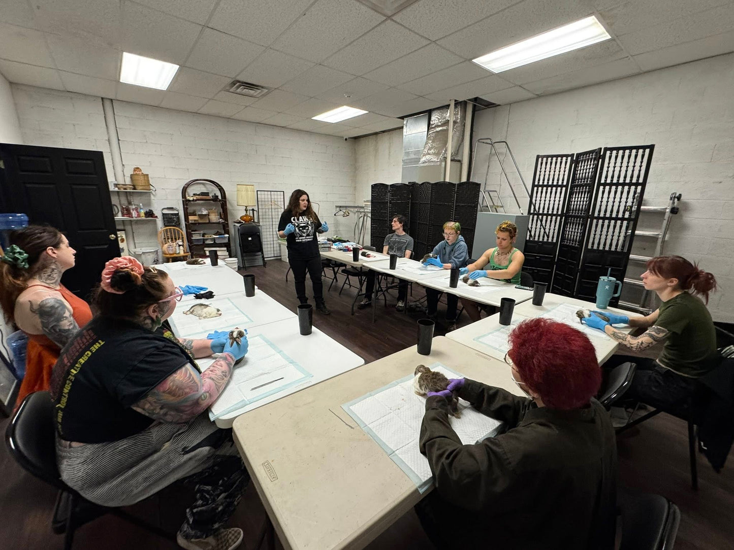 1 Ticket: Mole Taxidermy Class: January 31