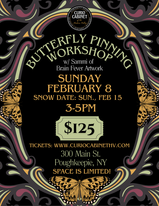 1 Ticket: Butterfly Pinning Class: February 8