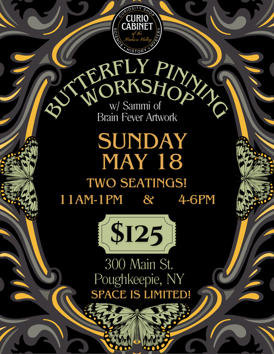 4PM Butterfly Pinning Class Ticket