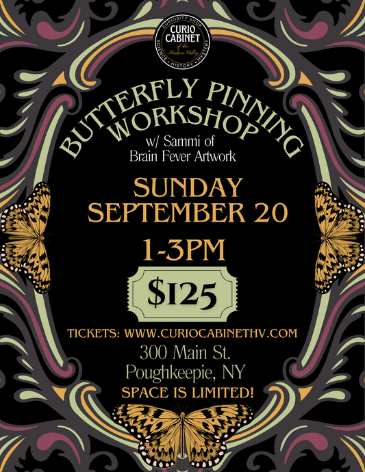1 Ticket: Butterfly Pinning Class: September 20