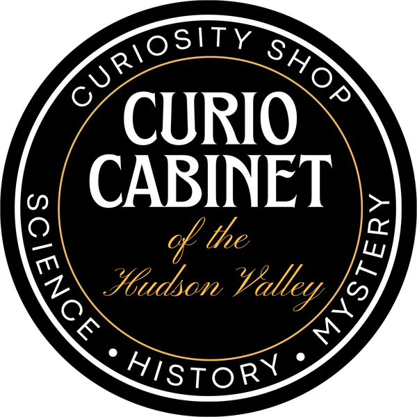 Curio Cabinet of the Hudson Valley