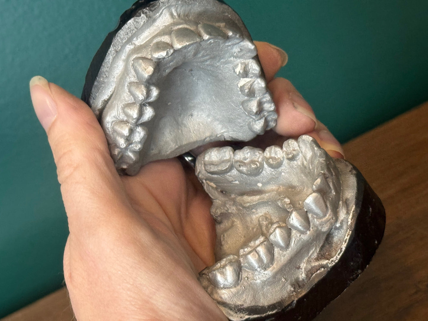 Antique Dental Cast
