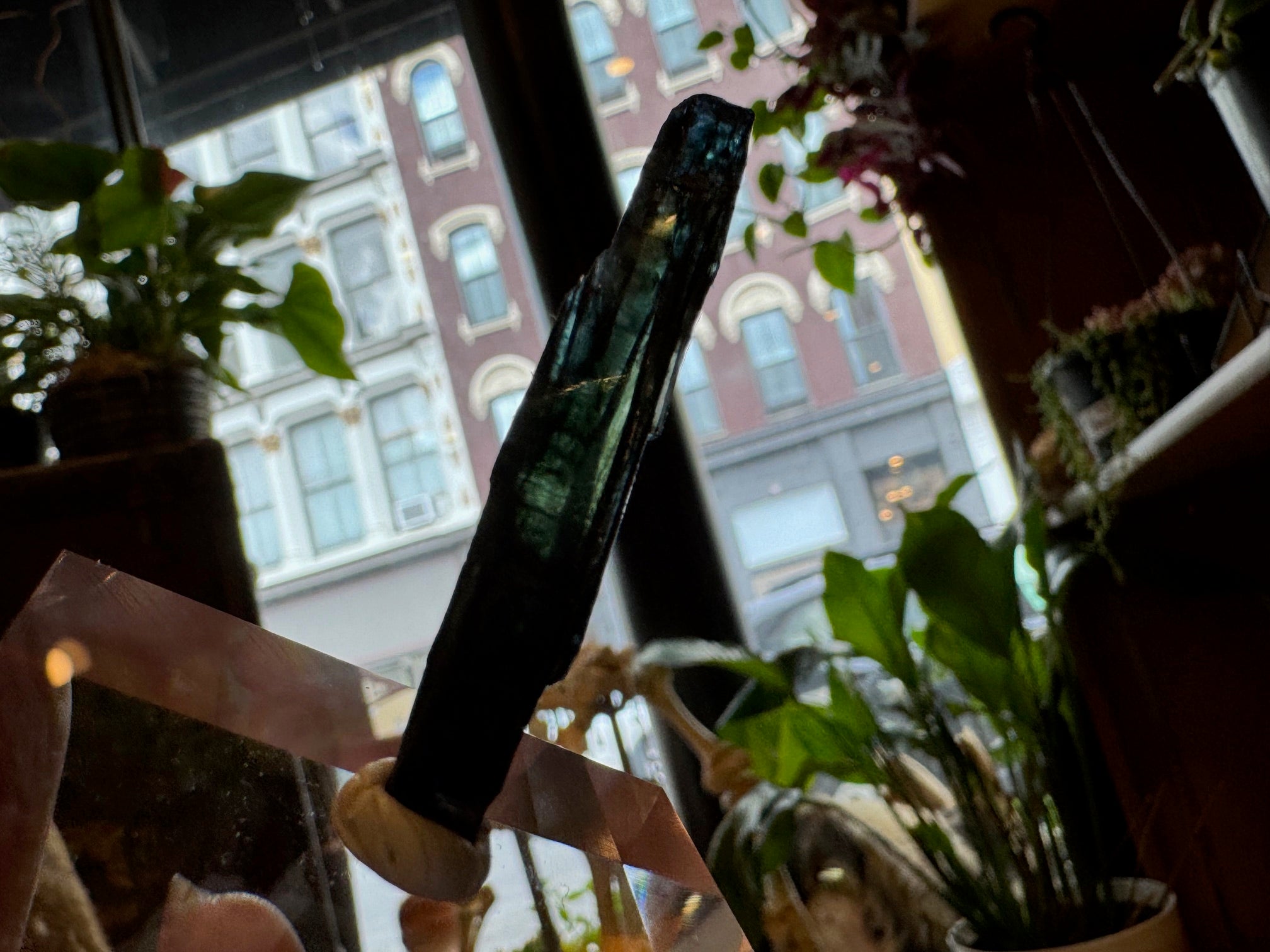 Products – Curio Cabinet of the Hudson Valley