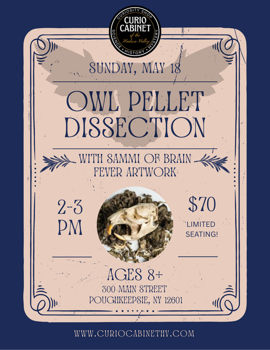Owl Pellet Dissection Class Ticket