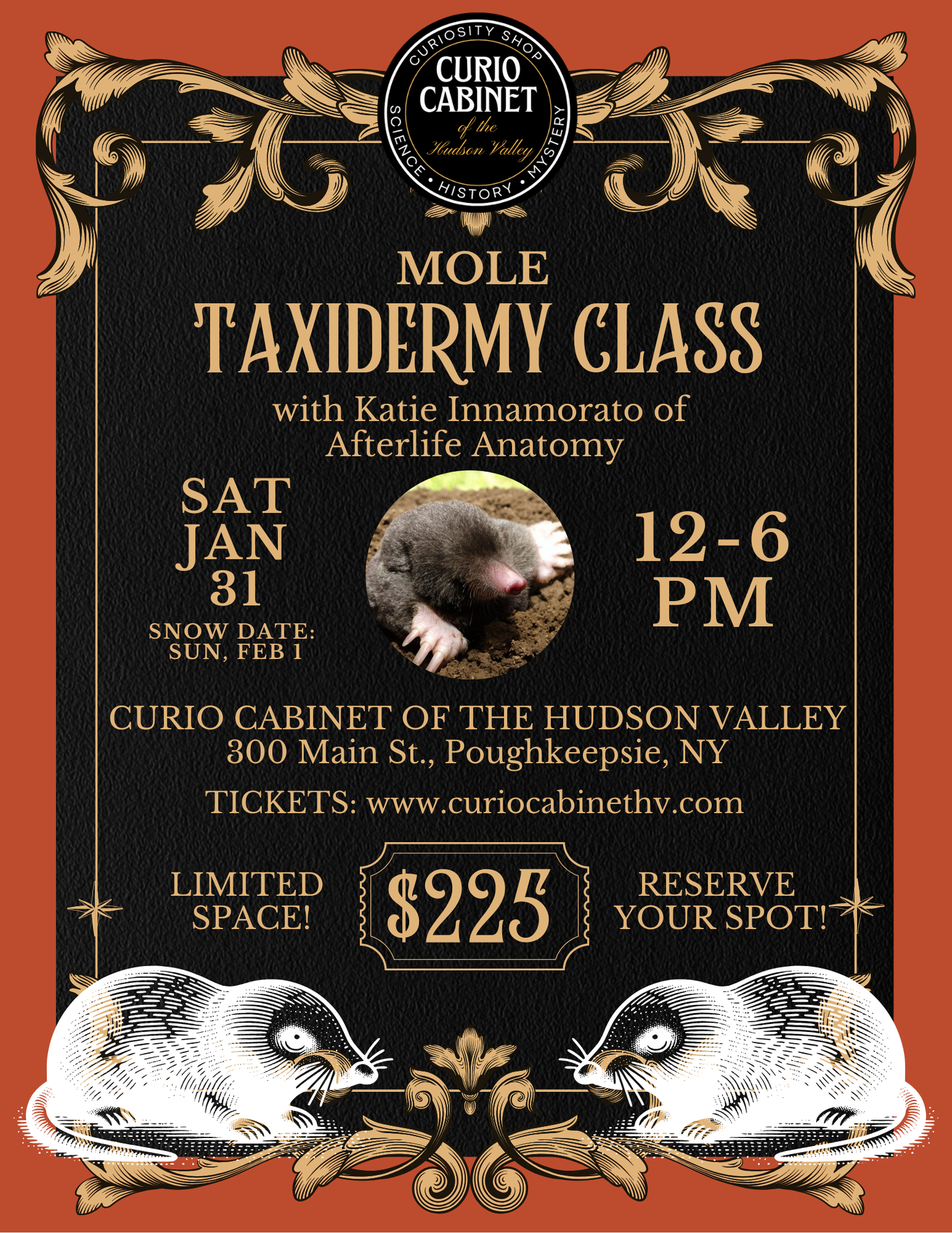 1 Ticket: Mole Taxidermy Class: January 31