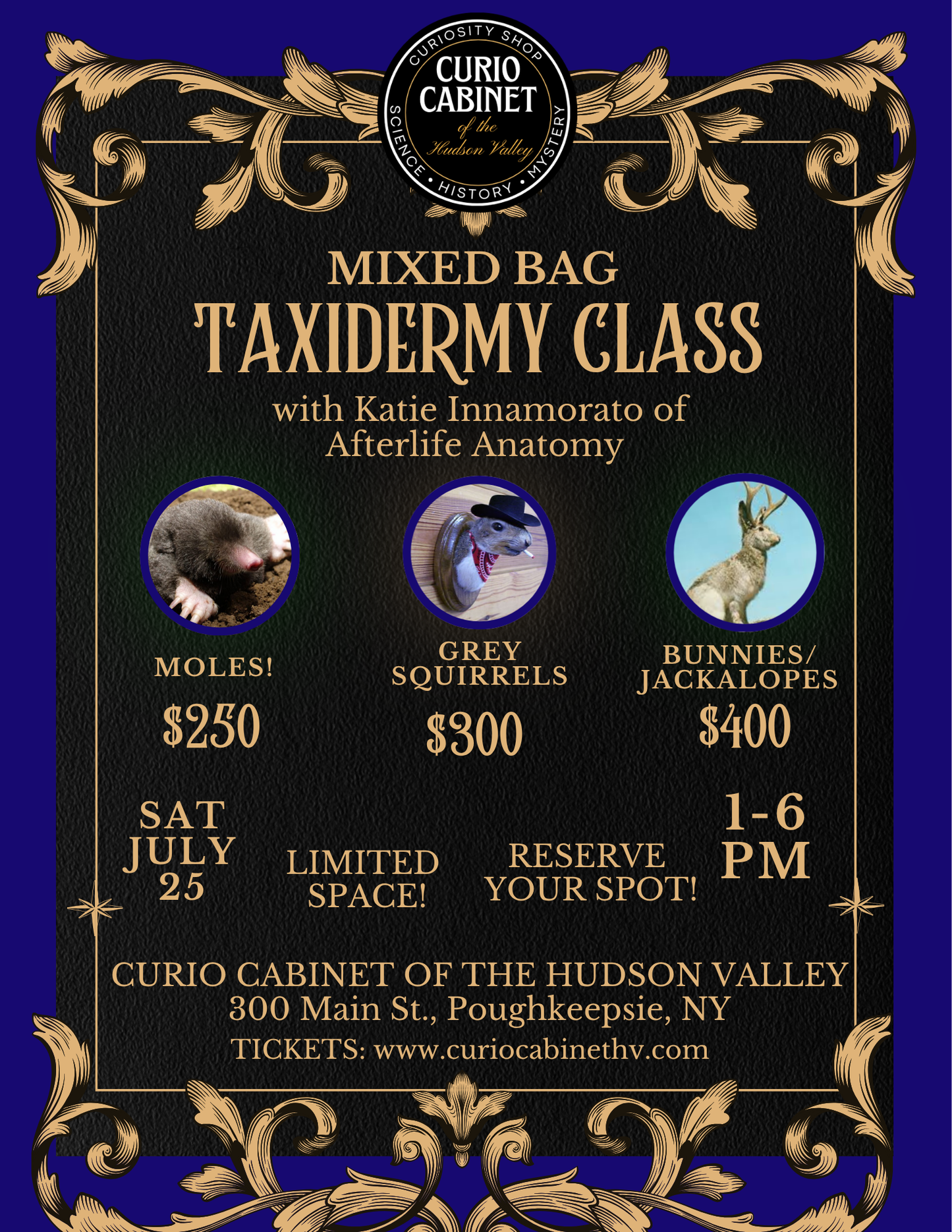 1 Taxidermy Class Ticket - BUNNY/JACKALOPE Selection