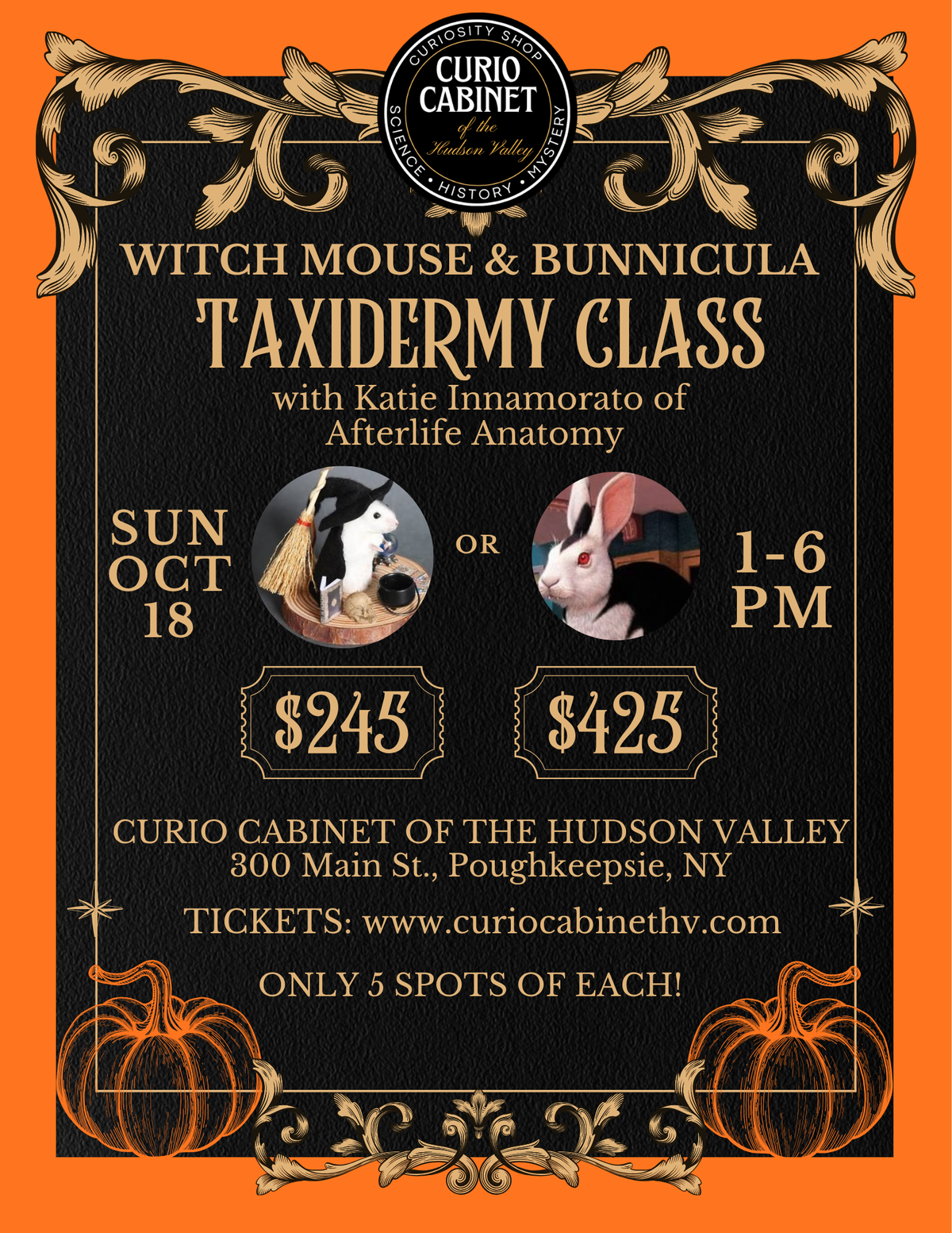 1 Ticket - WITCH MOUSE Taxidermy Class on October 18